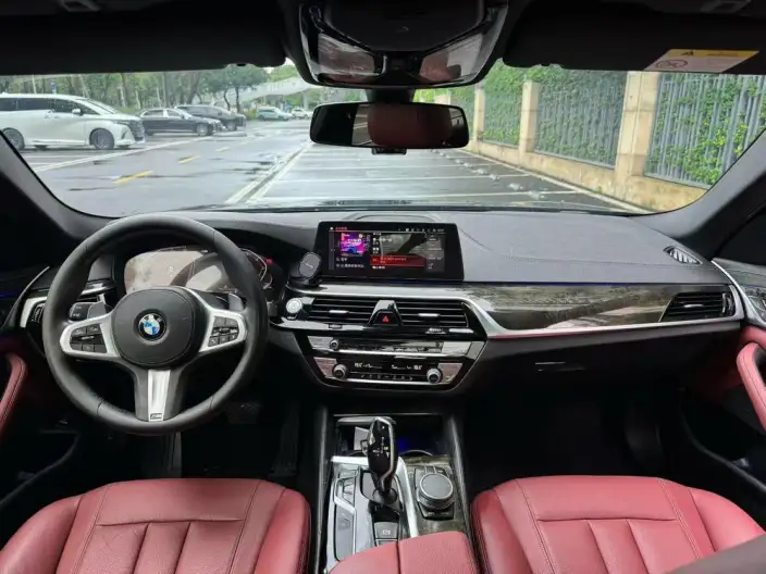 BMW 5 Series 2020 Model 530Li Leading Model M Sports Set – фото 7