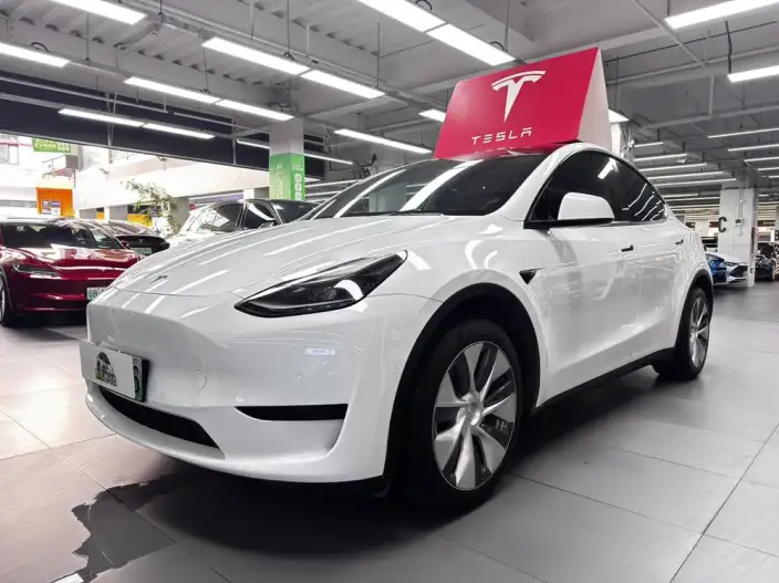 Model Y 2022 Model Rear-wheel drive version – фото 1
