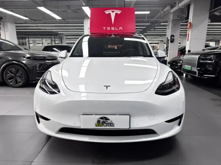 Model Y 2022 Model Rear-wheel drive version – фото 2