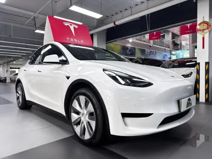 Model Y 2022 Model Rear-wheel drive version – фото 3
