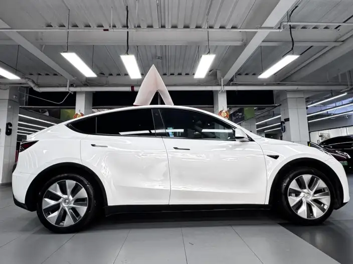 Model Y 2022 Model Rear-wheel drive version – фото 7