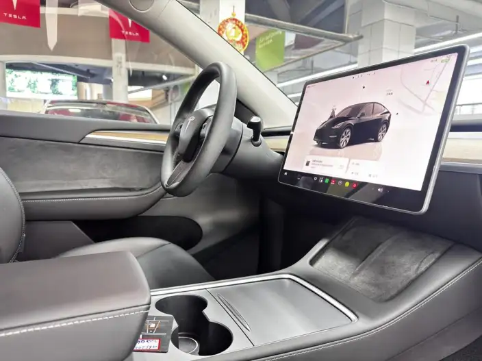Model Y 2022 Model Rear-wheel drive version – фото 8