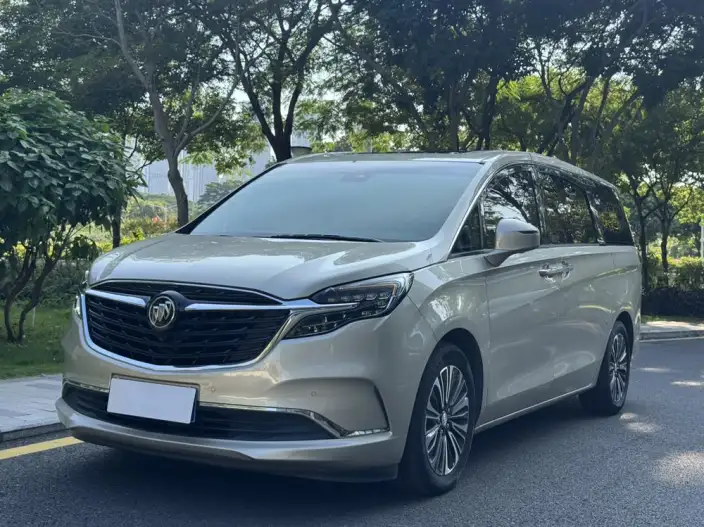 Buick GL8 2021 Model ES Luzun 653T Luxury Model – фото 1