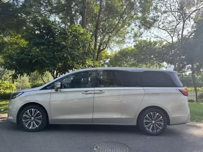 Buick GL8 2021 Model ES Luzun 653T Luxury Model – фото 4