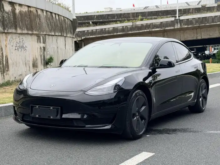 Model 3 2022 Model Rear-wheel drive version – фото 1
