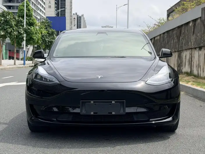 Model 3 2022 Model Rear-wheel drive version – фото 2
