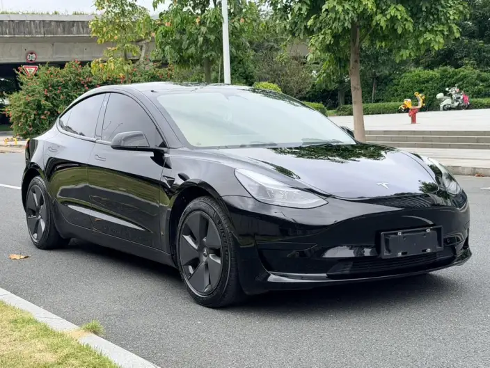Model 3 2022 Model Rear-wheel drive version – фото 3