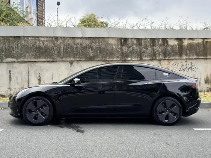 Model 3 2022 Model Rear-wheel drive version – фото 4