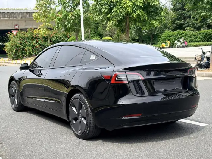 Model 3 2022 Model Rear-wheel drive version – фото 5
