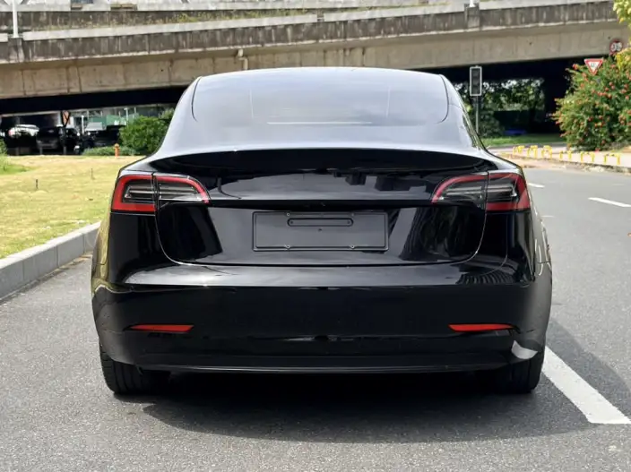 Model 3 2022 Model Rear-wheel drive version – фото 6