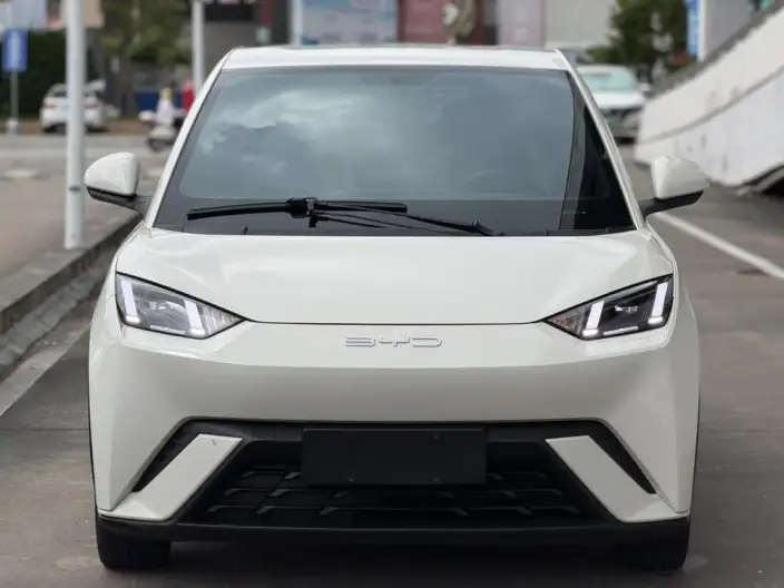 BYD Seagull 2023 Model Free Edition – фото 2
