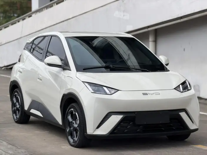 BYD Seagull 2023 Model Free Edition – фото 3