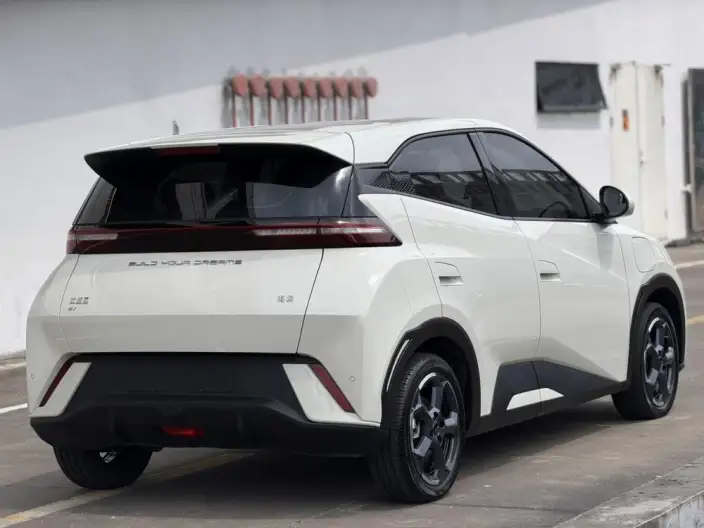 BYD Seagull 2023 Model Free Edition – фото 6