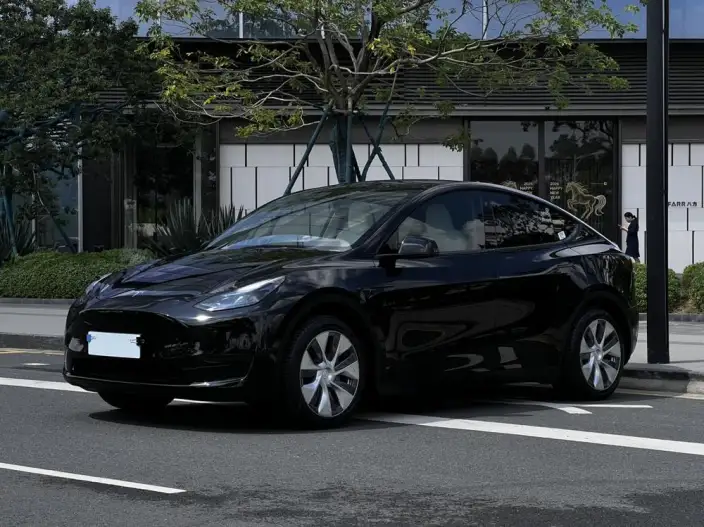 Model Y 2022 Model Facelift Rear-wheel drive version – фото 1