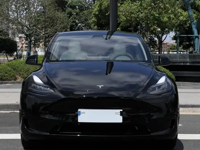 Model Y 2022 Model Facelift Rear-wheel drive version – фото 2