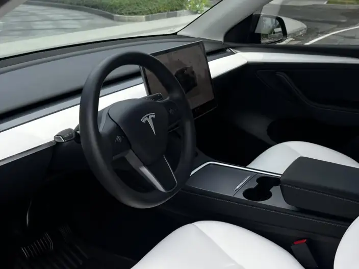Model Y 2022 Model Facelift Rear-wheel drive version – фото 8