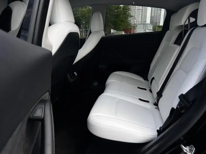 Model Y 2022 Model Facelift Rear-wheel drive version – фото 10