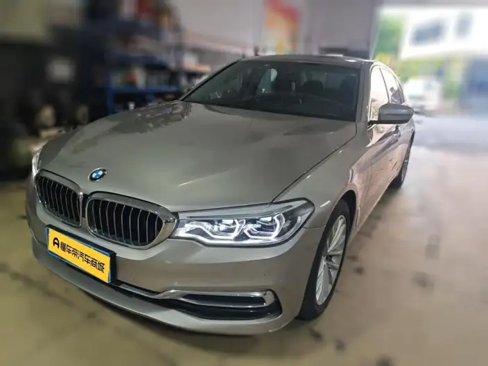 BMW 5 Series 2020 Model 530Li Leading Model Luxury Set – фото 1