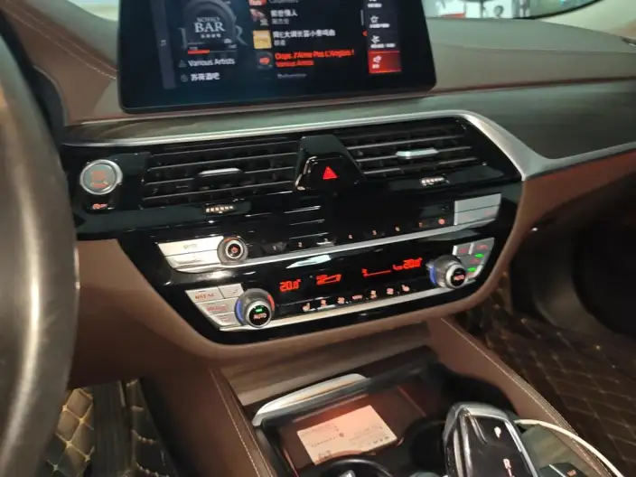 BMW 5 Series 2020 Model 530Li Leading Model Luxury Set – фото 8