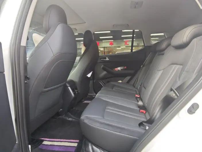 GAC Trumpchi GS4 PHEV 2020 Model 1.5T Exclusive Edition – фото 9