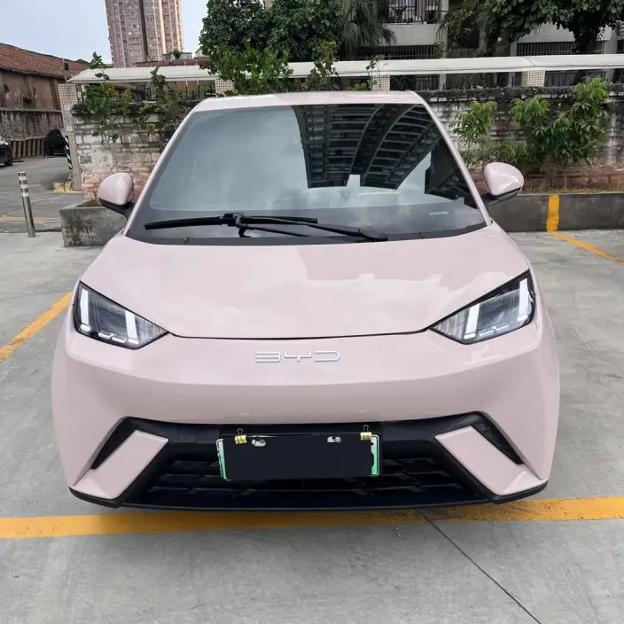 BYD Seagull 2024 Model Honor Edition 405KM Feixiang Edition – фото 2