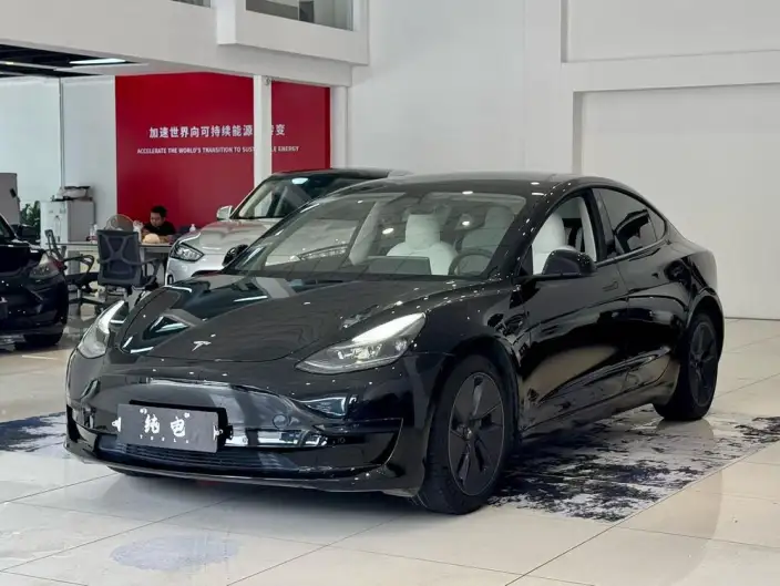 Model 3 2022 Model Rear-wheel drive version – фото 1