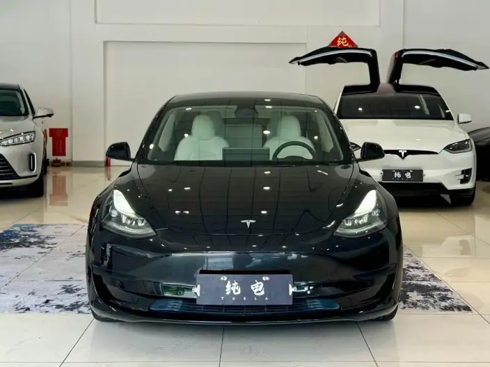 Model 3 2022 Model Rear-wheel drive version – фото 2