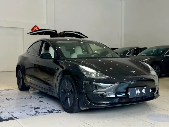 Model 3 2022 Model Rear-wheel drive version – фото 3