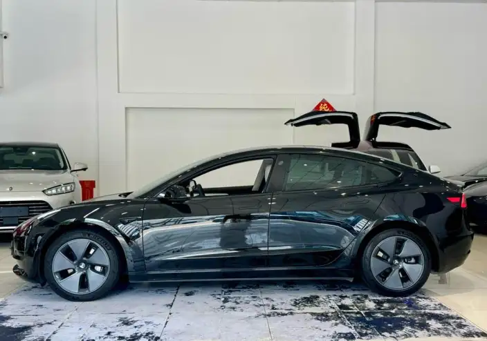 Model 3 2022 Model Rear-wheel drive version – фото 4
