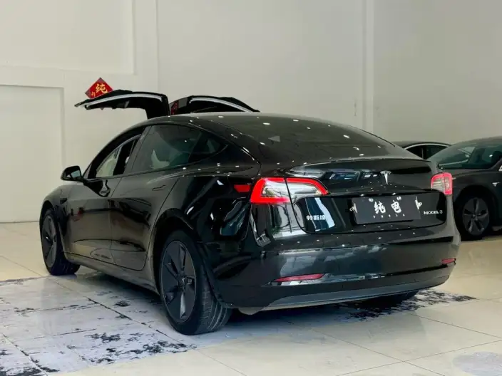 Model 3 2022 Model Rear-wheel drive version – фото 5