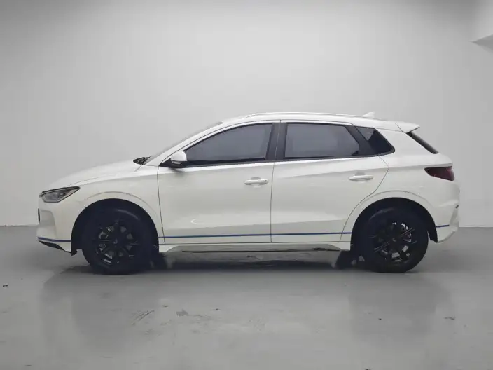 BYD E2 2021 Model Luxury Model – фото 4