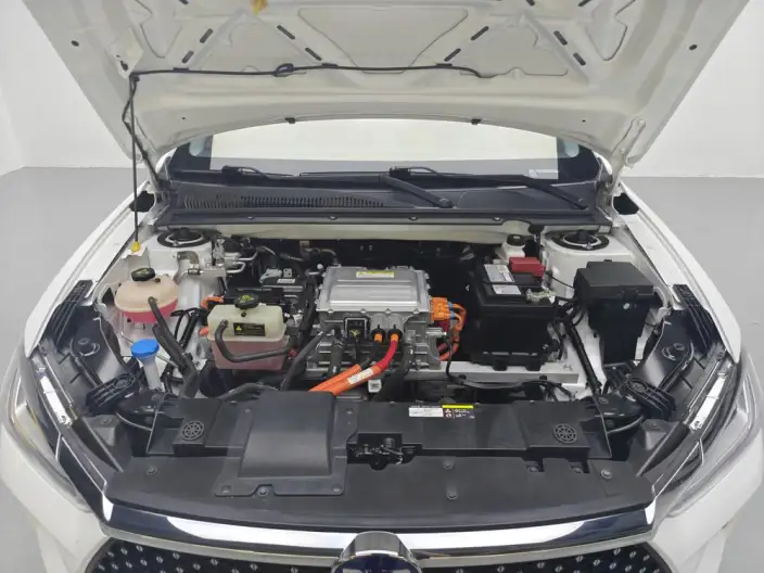 BYD E2 2021 Model Luxury Model – фото 10