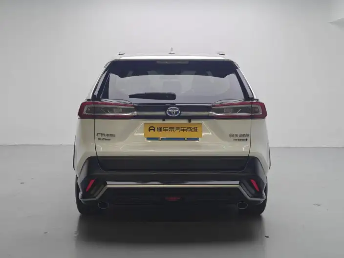 Toyota Wildlander 2020 Model Hybrid 2.5L 4WD Luxury Model – фото 6