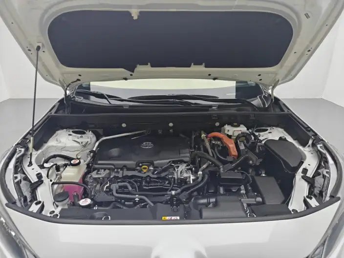 Toyota Wildlander 2020 Model Hybrid 2.5L 4WD Luxury Model – фото 10