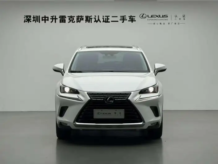 Lexus NX 2020 Model 300h Qian Drive Fengshang Edition China V – фото 2