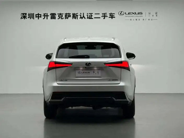 Lexus NX 2020 Model 300h Qian Drive Fengshang Edition China V – фото 3