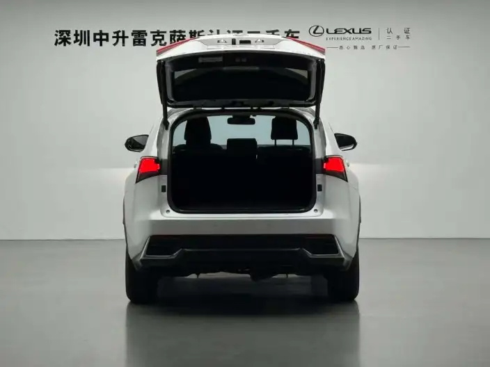 Lexus NX 2020 Model 300h Qian Drive Fengshang Edition China V – фото 5