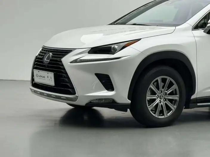 Lexus NX 2020 Model 300h Qian Drive Fengshang Edition China V – фото 8