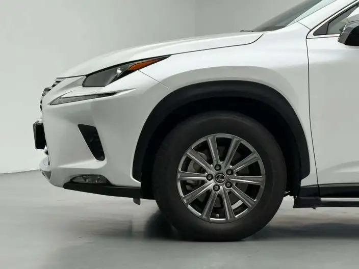 Lexus NX 2020 Model 300h Qian Drive Fengshang Edition China V – фото 9