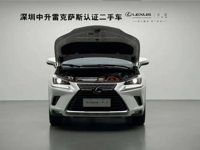 Lexus NX 2020 Model 300h Qian Drive Fengshang Edition China V – фото 10