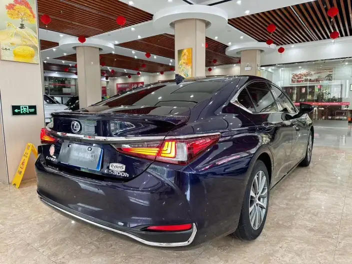 Lexus ES 2020 Model 300h Superior Edition China VI – фото 6