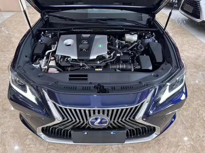 Lexus ES 2020 Model 300h Superior Edition China VI – фото 7