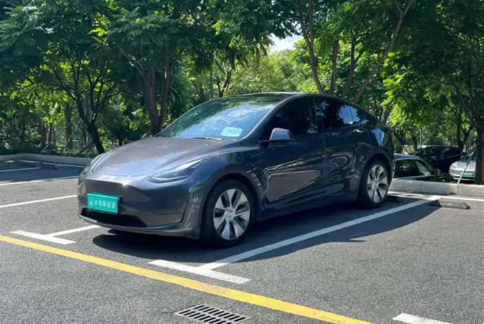 Model Y 2021 Model Standard Battery Life Rear-wheel drive version – фото 1