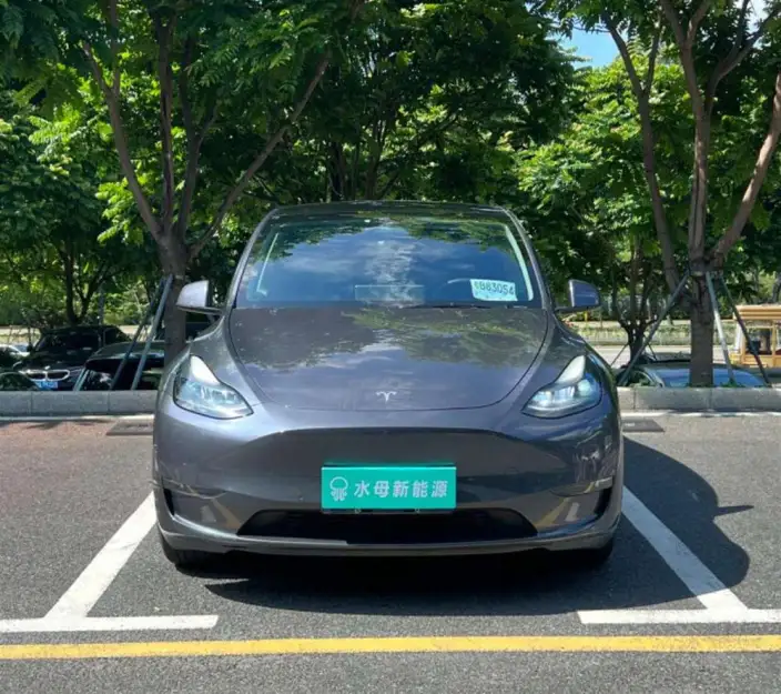 Model Y 2021 Model Standard Battery Life Rear-wheel drive version – фото 2