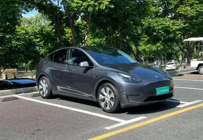 Model Y 2021 Model Standard Battery Life Rear-wheel drive version – фото 3