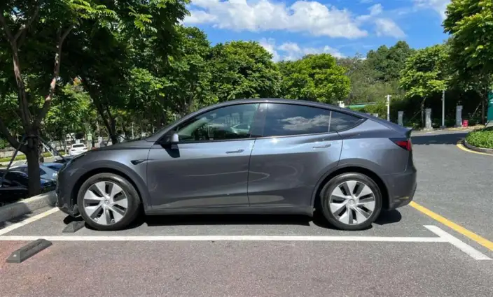 Model Y 2021 Model Standard Battery Life Rear-wheel drive version – фото 4