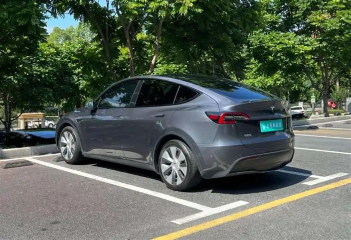 Model Y 2021 Model Standard Battery Life Rear-wheel drive version – фото 5