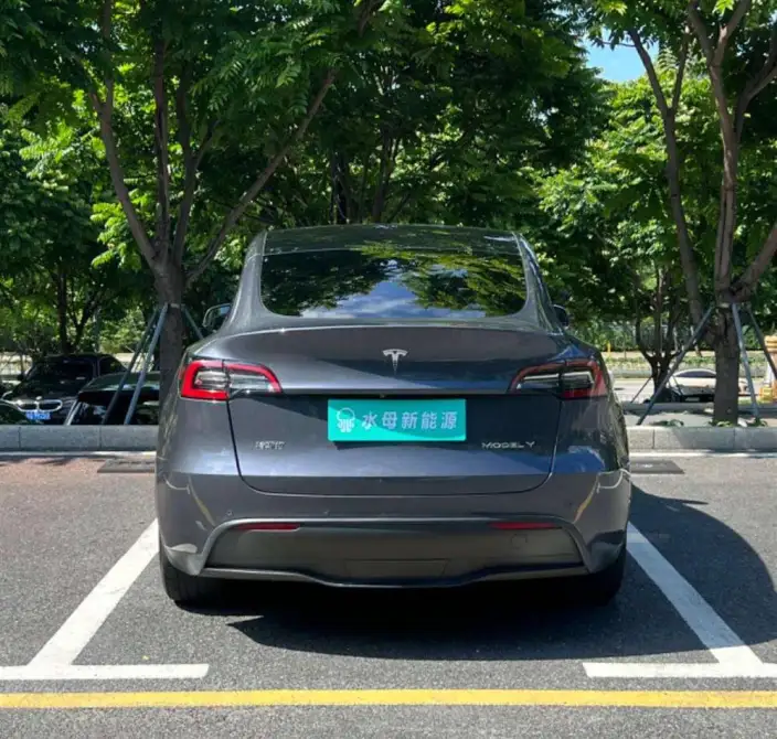 Model Y 2021 Model Standard Battery Life Rear-wheel drive version – фото 6