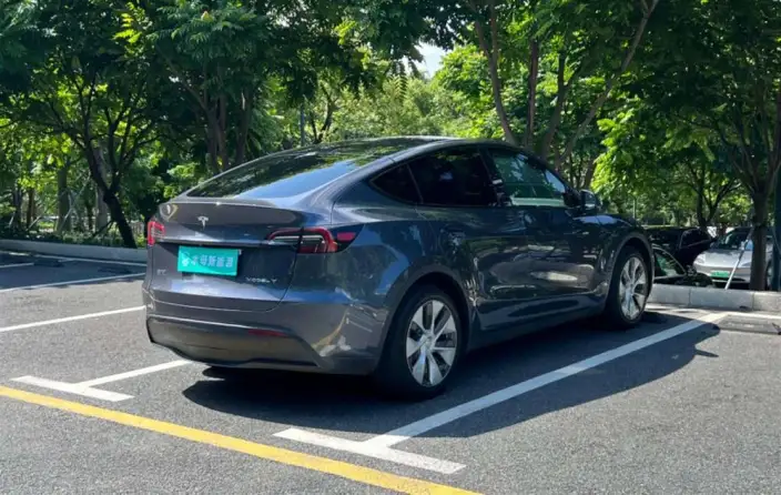 Model Y 2021 Model Standard Battery Life Rear-wheel drive version – фото 7