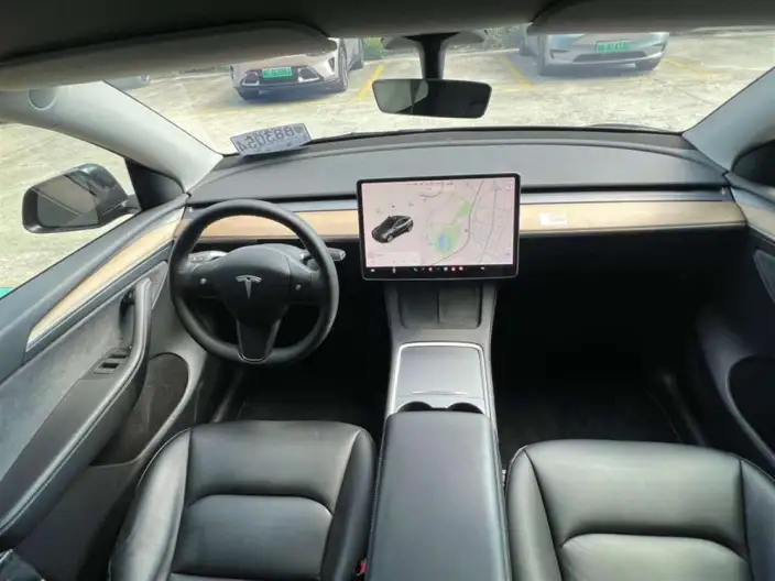 Model Y 2021 Model Standard Battery Life Rear-wheel drive version – фото 10
